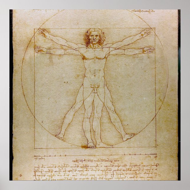 Pôster Leonardo Da Vinci, O Homem Vitruviano, Renascença (Frente)