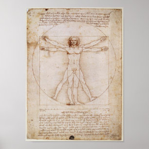 Poster Leonardo da Vinci Vitruvian