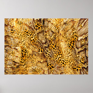 Poster Leopard and snake pattern
