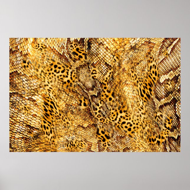 Poster Leopard and snake pattern (Frente)