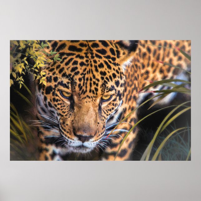 POSTER LEOPARD ENCOUNTER (Frente)