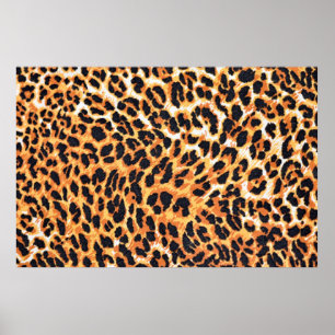 Poster leopard fur as backgroundleopard,pattern,print,ski