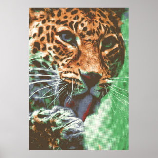 Poster Leopard Portrait
