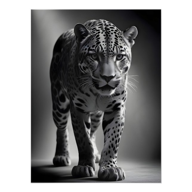 Pôster Leopard Willife Wallpaper da "Nature" majestosa (Frente)