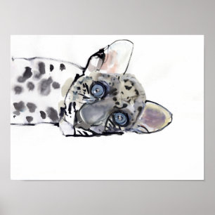 Poster Leopardo árabe 2008 3