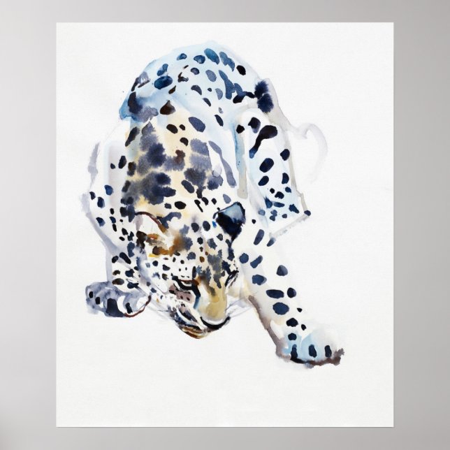 Poster Leopardo Árabe 2008 5 (Frente)