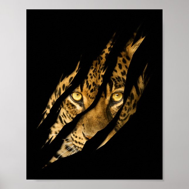 Poster Leopardo Cheetah Tiger Leopard Face Lion Cat Appar (Frente)