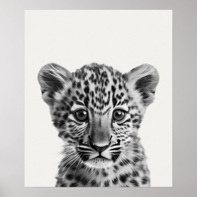 Poster Leopardo-da-selva africana Baby Safari (Frente)