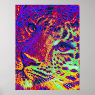 Pôster leopardo do dayglow