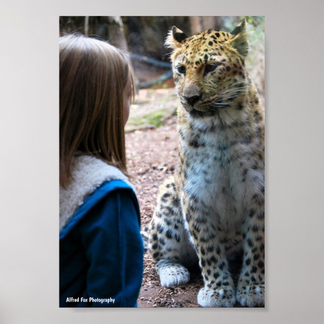 Poster Leopardo e Criança (Frente)