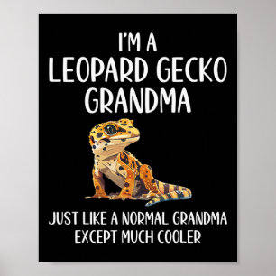 Poster Leopardo Gecko Vovó Definição de Animais Sobrevive