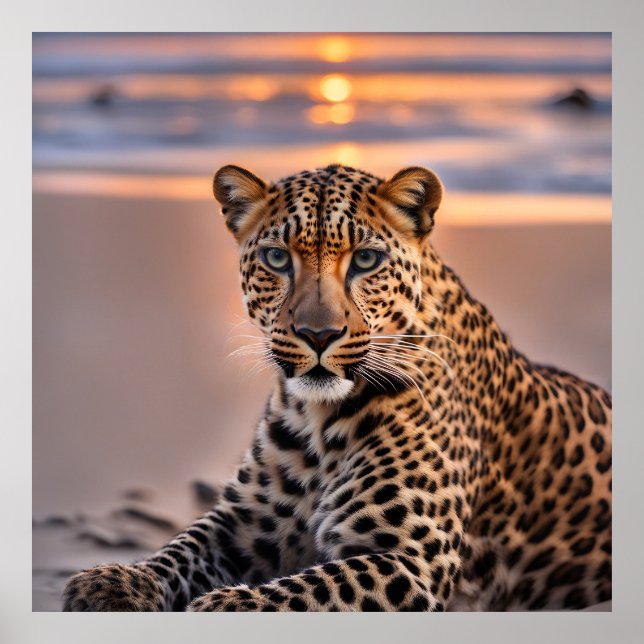 Poster Leopardo na praia (Frente)