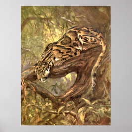 Pôster Leopardo-Nublado por CE Swan, Animais Selvagens Vi