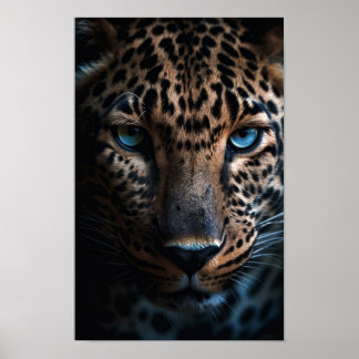 Poster Leopardo Olhado Azul