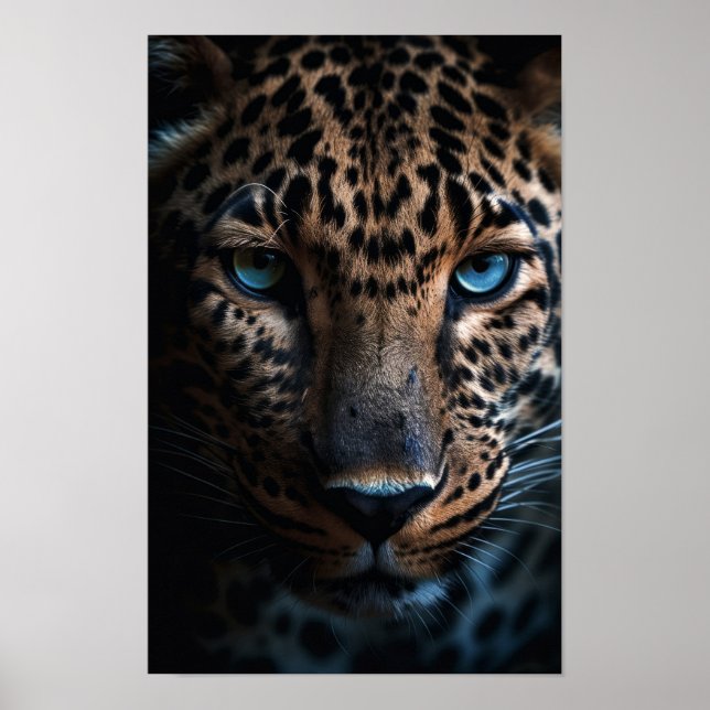 Poster Leopardo Olhado Azul (Frente)