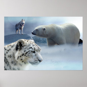 Poster Leopardo-poster-Polar Rouco-Urso-Neve