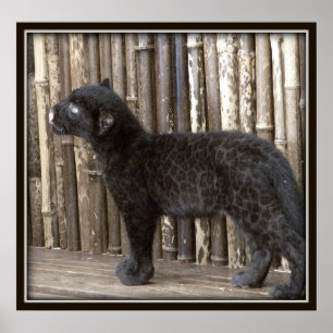 Pôster Leopardo preto novo