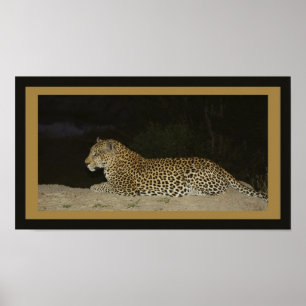 Pôster Leopardo que encontra-se no banco da areia