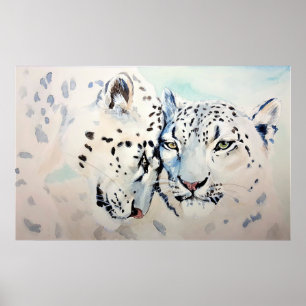 Poster Leopardos de Neve