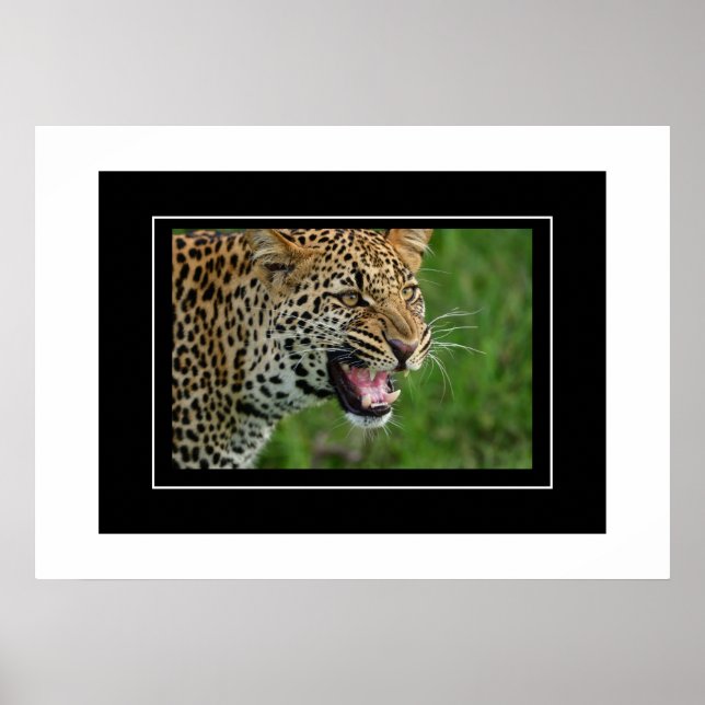 Poster Lepard (Frente)