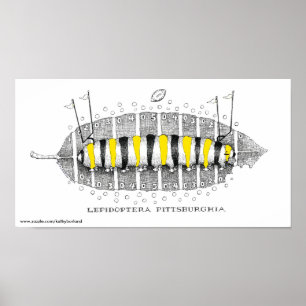 Pôster Lepidoptera Pittsburghia-Zazzle, www.zazzle.com...