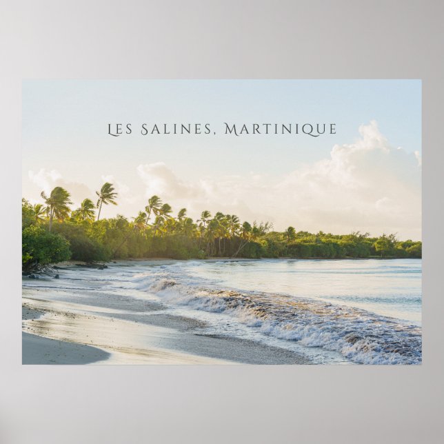 Poster Les Salines beach Martinique Scenic travel  (Frente)