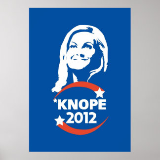 Poster Leslie Knope para Câmara Municipal