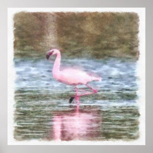Poster Lesser Flamingo Watercolor