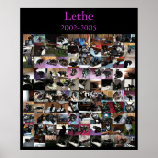 Poster Lethe