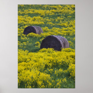 Pôster Letónia, Nordeste da Letónia, Região de Vidzeme