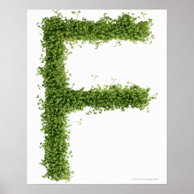 Pôster Letra "F" em grese sobre fundo branco, (Frente)