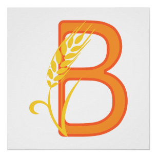 Pôster Letra maiúscula B monograma floral