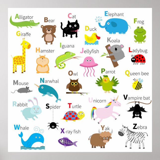 Poster Letras alfabéticas de animais (Frente)