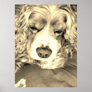 Pôster Levando um momento