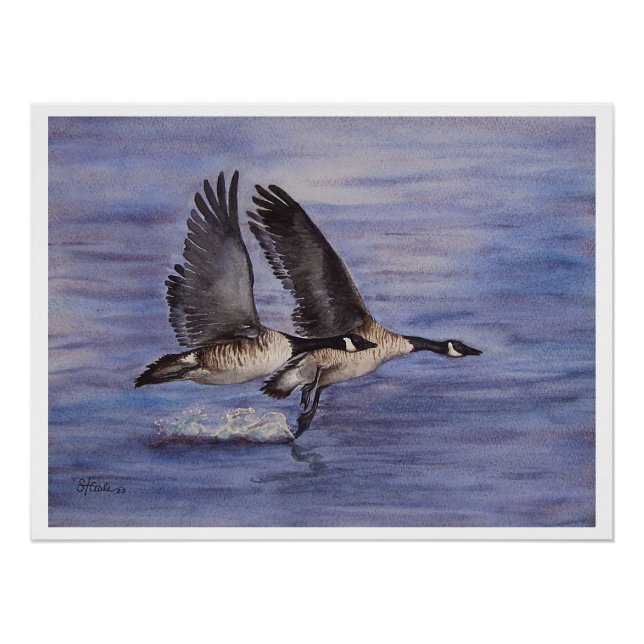 Pôster Levante - Gansos Canadianos (Frente)