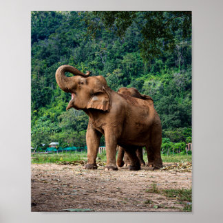 Poster Levante-Se E Seja Ouvido