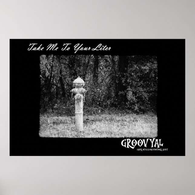 Poster Leve-Me Ao Seu Litro (Frente)