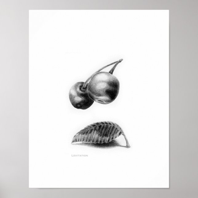 Poster Levitação (Frente)