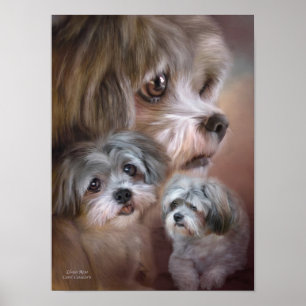 Pôster Lhasa Apso Art Poster/Print