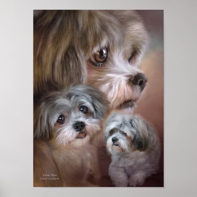 Pôster Lhasa Apso Art Poster/Print (Frente)