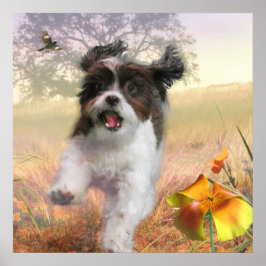 Poster Lhasa Apso Dog HIGH TAIL HOME