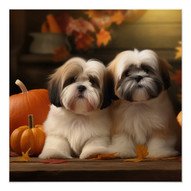 Pôster Lhasa Apso Puppy Autumn Delight Pumpkin (Frente)