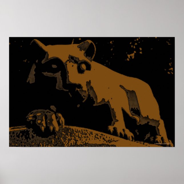 POSTER LIÃO (Frente)