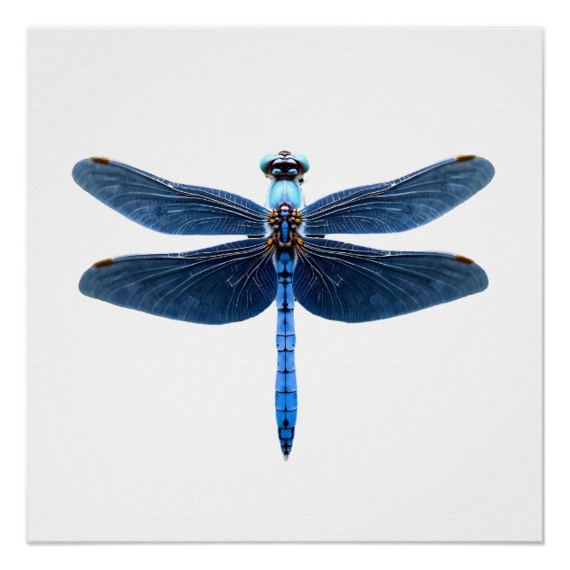 Pôster Libélula Azul - Entusiasta de Insetos Animais da V (Frente)