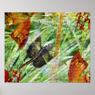 Pôster Libélula, mosca afastado