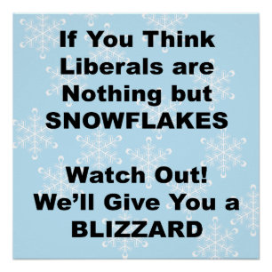 Pôster Liberal Blizzard