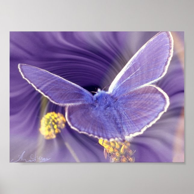 Poster Liberdade (Frente)