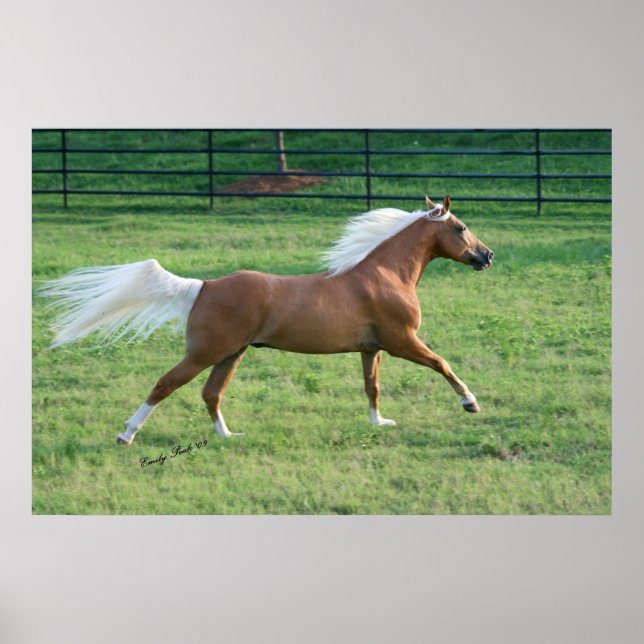 Poster Liberdade alegre (Frente)