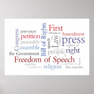 Pôster Liberdade de Expressão! Grande Cartaz da Declaraçã