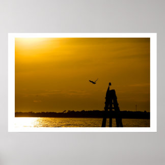 Poster Liberdade de voo